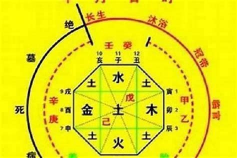 八字天醫|命理中「天醫」星代表的具體易像與運用方法